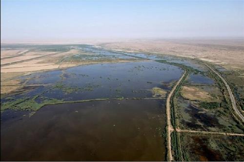 استخراج و اکتشاف نفت در تالاب ها بلای جان تالاب های خوزستان
