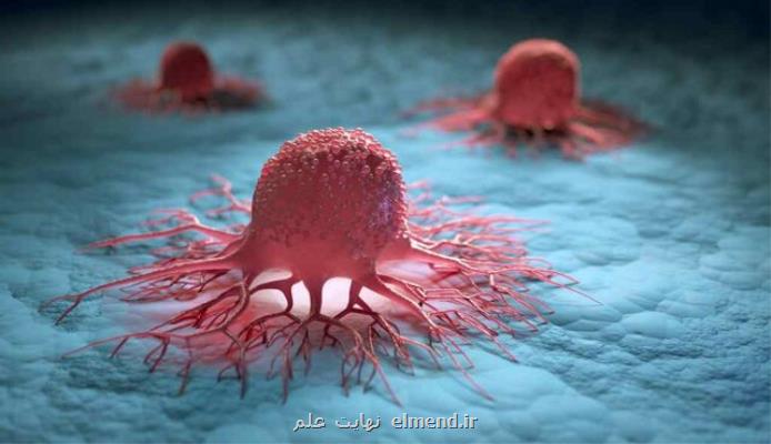 كشف راه جدیدی برای هدف قرار دادن سلول های سرطانی