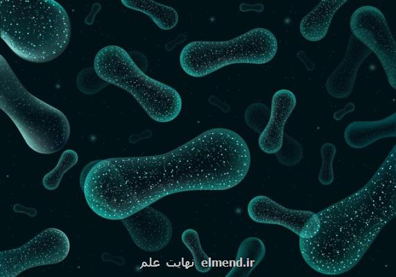 اكوسیستم اسرارآمیز زیرزمینی كه بدون انرژی خورشید زندگی می كند