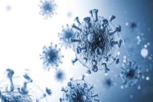 گوگل تست هفتگی کرونا را برای حضور در ادارات خود الزامی کرد