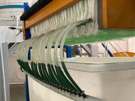 استحصال مس کاتدی به روش شیمیایی توسط پژوهشگران کشور