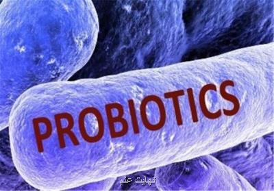 7 مکمل غذایی-دارویی پروبیوتیک برای انسان و دام تولید شد