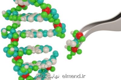 تعیین دقیق جنسیت موش با دستکاری ژنتیکی