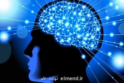 ضرورت توسعه تجهیزات و ابزارهای نوین در زمینه علوم اعصاب