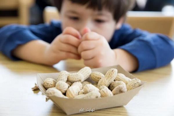 خداحافظی با آلرژی به بادام زمینی با روش پژوهشگران استرالیایی