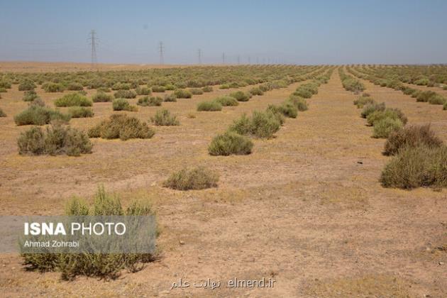 بیابان زدایی از کشور با کمک پروژه های شورورزی در اولویت است