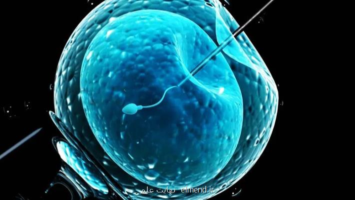 نوزادان حاصل IVF رباتی متولد شدند