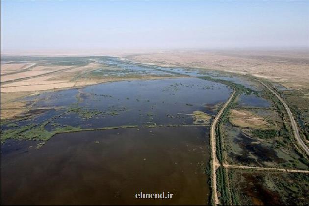 استخراج و اکتشاف نفت در تالاب ها بلای جان تالاب های خوزستان