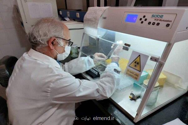 سامانه دارویی هوشمند برای مهار التهاب بیماریهای حاد طراحی شد