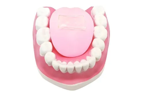 زبان مصنوعی تندی غذا را می سنجد