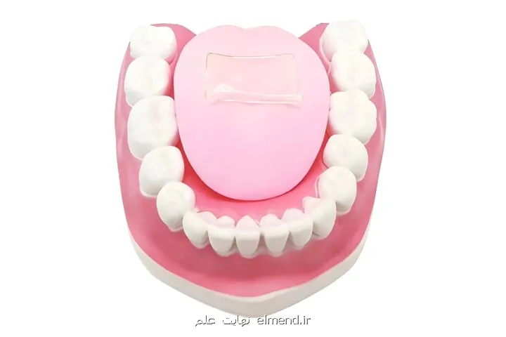 زبان مصنوعی تندی غذا را می سنجد