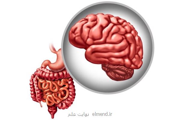 تأثیر یك باكتری روده در جلوگیری از پاركینسون