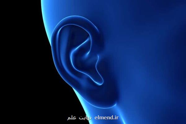 پرورش گوش شبیه به گوش انسان با چاپ ۳بعدی در بدن موش ها