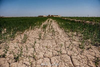 سرعت پیشروی خندق و گالی ناشی از فرسایش خاك در دشتیاری پیشی گرفت