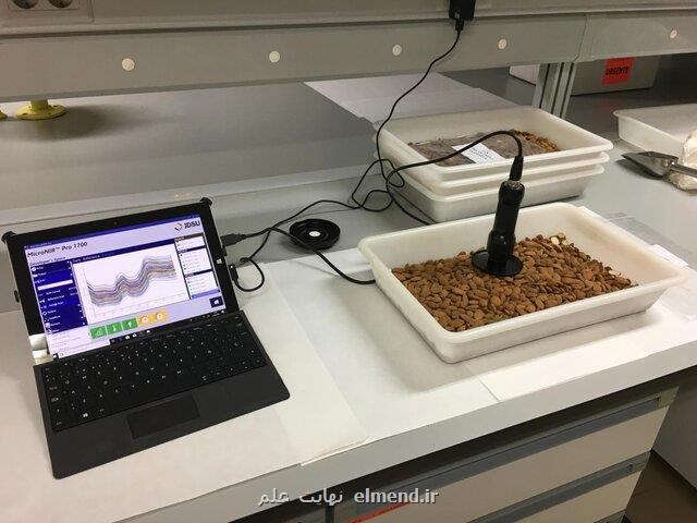 ابداع یك فناوری برای تشخیص بادام های تلخ!